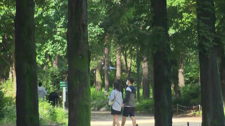 폭염에 숲길 걸었더니...얼굴 온도 1.9℃ '뚝'