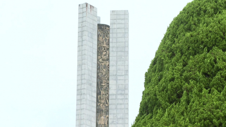 대전현충원에 일제 보급 향나무..."수목 교체 검토"