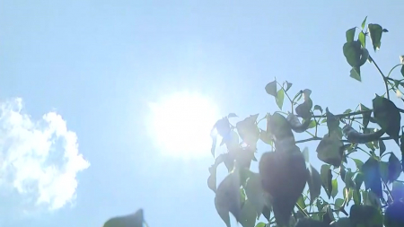 열사병에도 해열제?..."치료 골든타임 놓쳐"