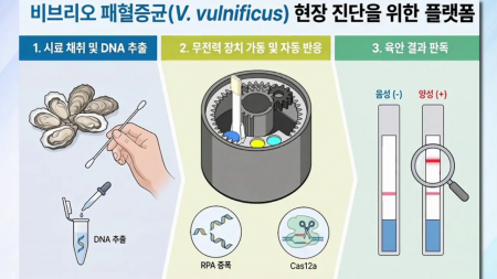 수산물 속 식중독균 1시간 만에 확인…종이 진단장치 개발