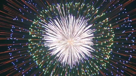 가을밤 불꽃쇼...한화, 다음 달 5일 여의도 불꽃축제