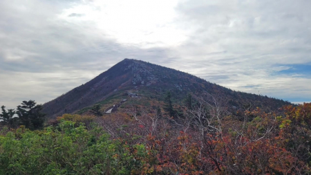 설악산 '첫 단풍' 시작...지난해보다 나흘 빨라