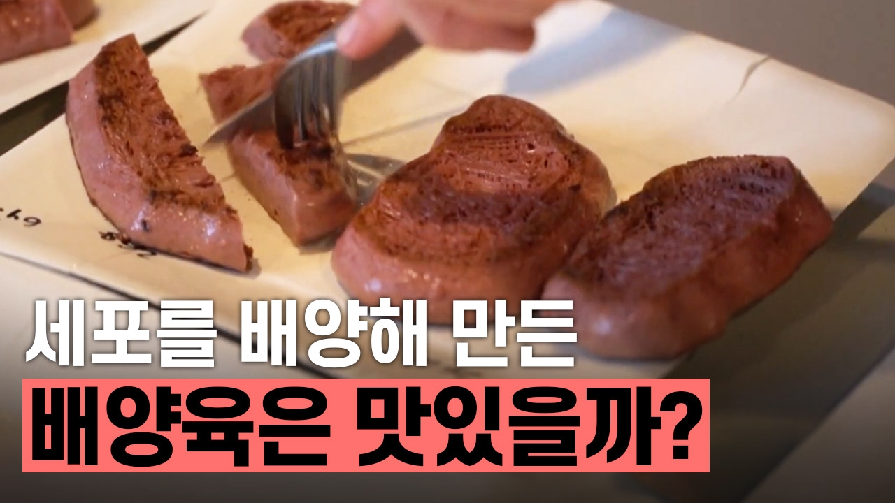세포를 배양해 만든 배양육은 맛있을까?