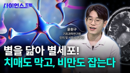 뇌 건강의 숨은 조력자, 별아교세포에 주목하라