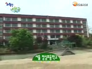 서울 정심초등학교