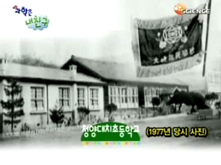 충남 청양군 대치초등학교