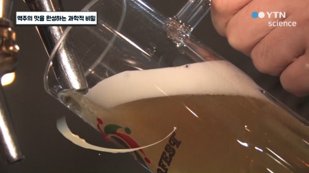 맥주의 맛을 완성하는 과학적 비밀