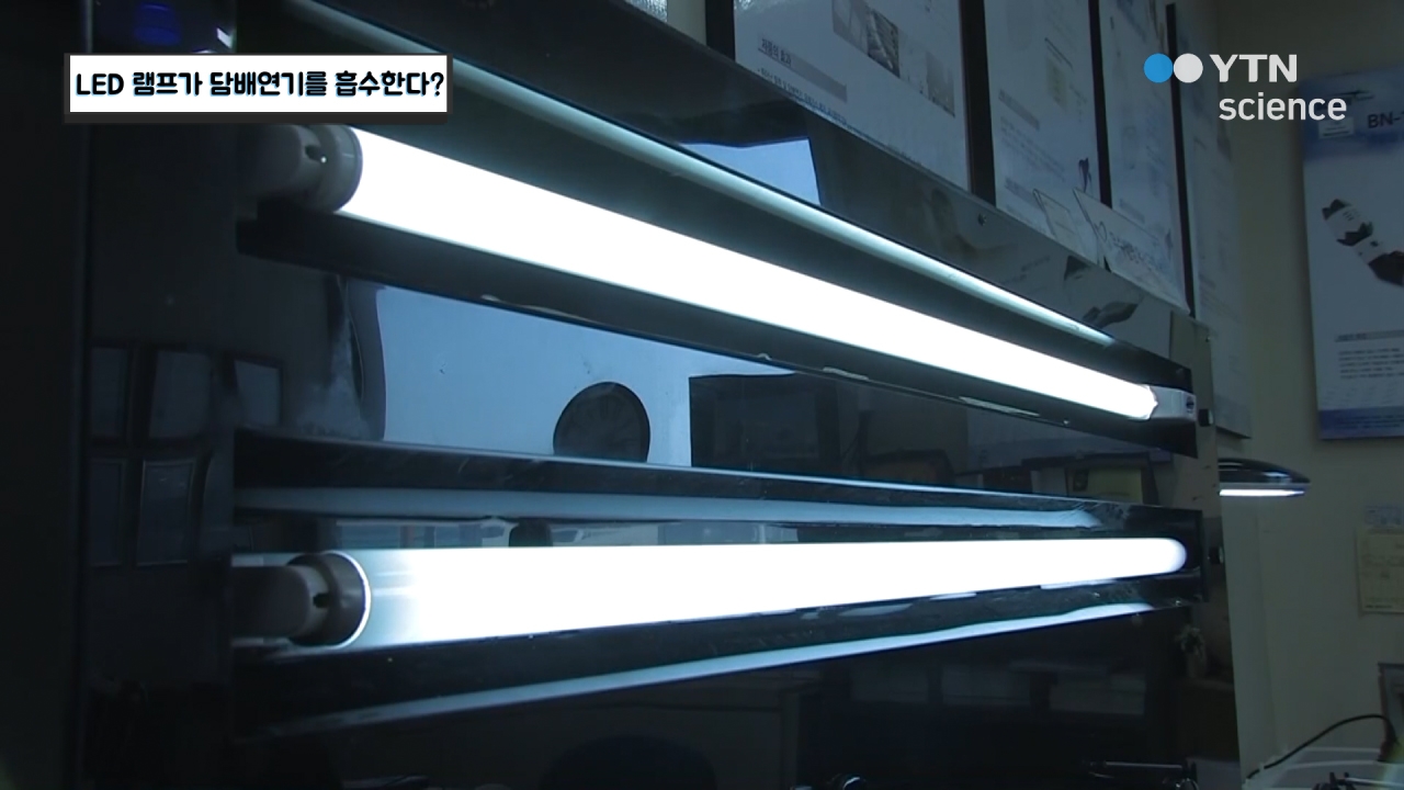 LED 램프가 담배연기를 흡수한다?