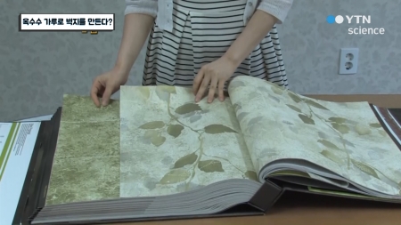 옥수수 가루로 벽지를 만든다?