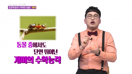 [수학 비하인드 뉴스] 수학하는 동물들!