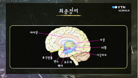 12가지 뇌신경의 정체-1