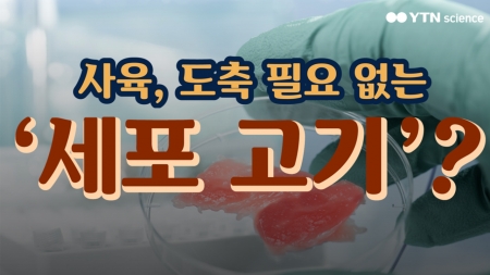 사육, 도축 필요 없는 '세포 고기'?