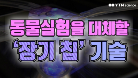 동물실험을 대체할 '장기 칩' 기술