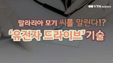말라리아 모기의 씨를 말린다!? '유전자 드라이브' 기술