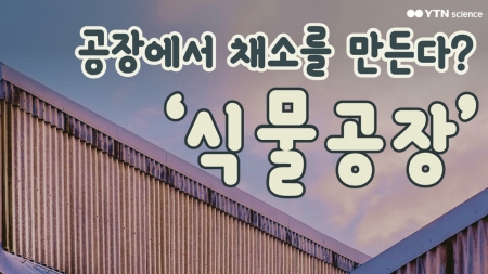 공장에서 채소를 만든다? '식물공장'