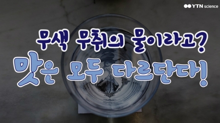 무색 무취의 물이라고? 맛은 모두 다르단다!