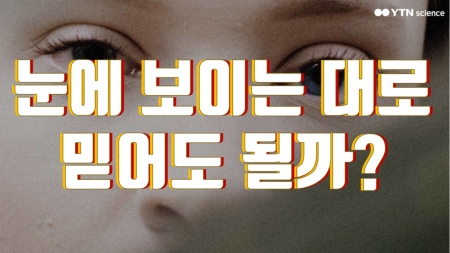 눈에 보이는 대로 믿어도 될까?