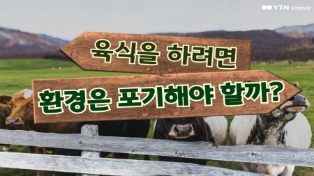 육식을 하려면 환경은 포기해야 할까?