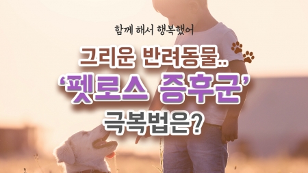 함께 해줘서 고마워… 그리운 반려동물, ‘펫로스 증후군’ 극복법은?