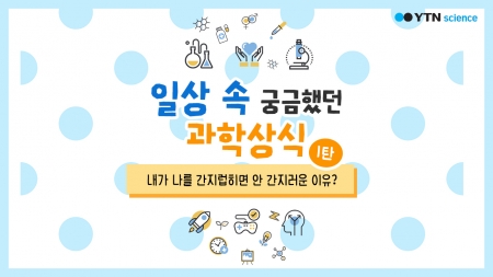 일상 속 궁금했던 과학상식 <1탄> 내가 나를 간지럽히면 안 간지러운 이유?