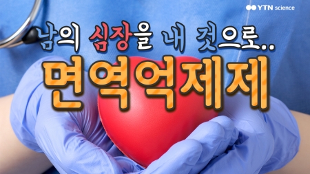타인의 심장을 내 것으로…면역억제제