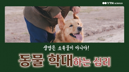 생명은 소유물이 아니야! 동물 학대하는 심리