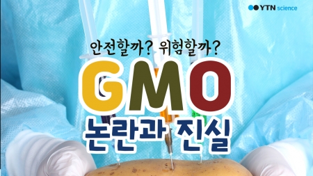 안전할까? 위험할까? 'GMO' 논란과 진실