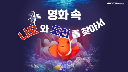 영화 속 '니모'와 '도리'를 찾아서