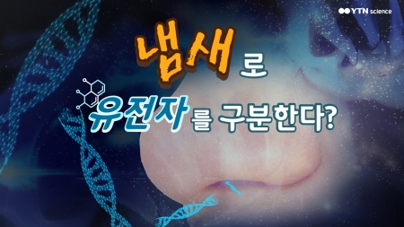 냄새로 유전자를 구분한다?