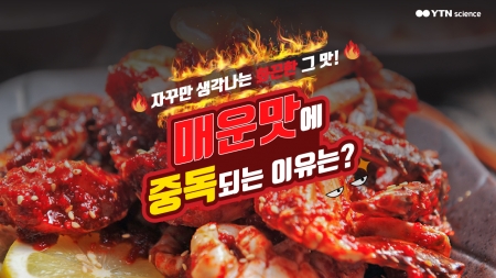 자꾸만 생각나는 화끈한 그 맛! 매운맛에 중독되는 이유는?