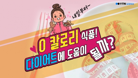 0 칼로리 식품! 다이어트에 도움이 될까?