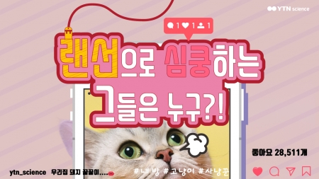 랜선으로 심쿵하는 그들은 누구?!