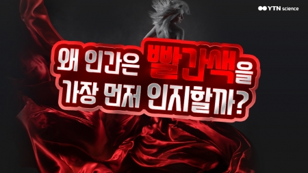 왜 인간은 빨간색을 가장 먼저 인지할까?