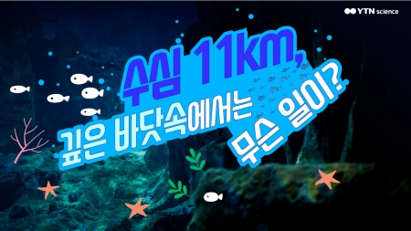 수심 11km, 깊은 바닷속에서는 무슨 일이?