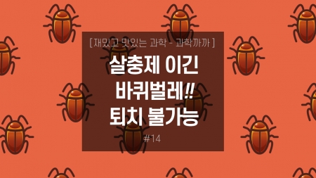 살충제 이긴 바퀴벌레! 이제는 퇴치 불가능