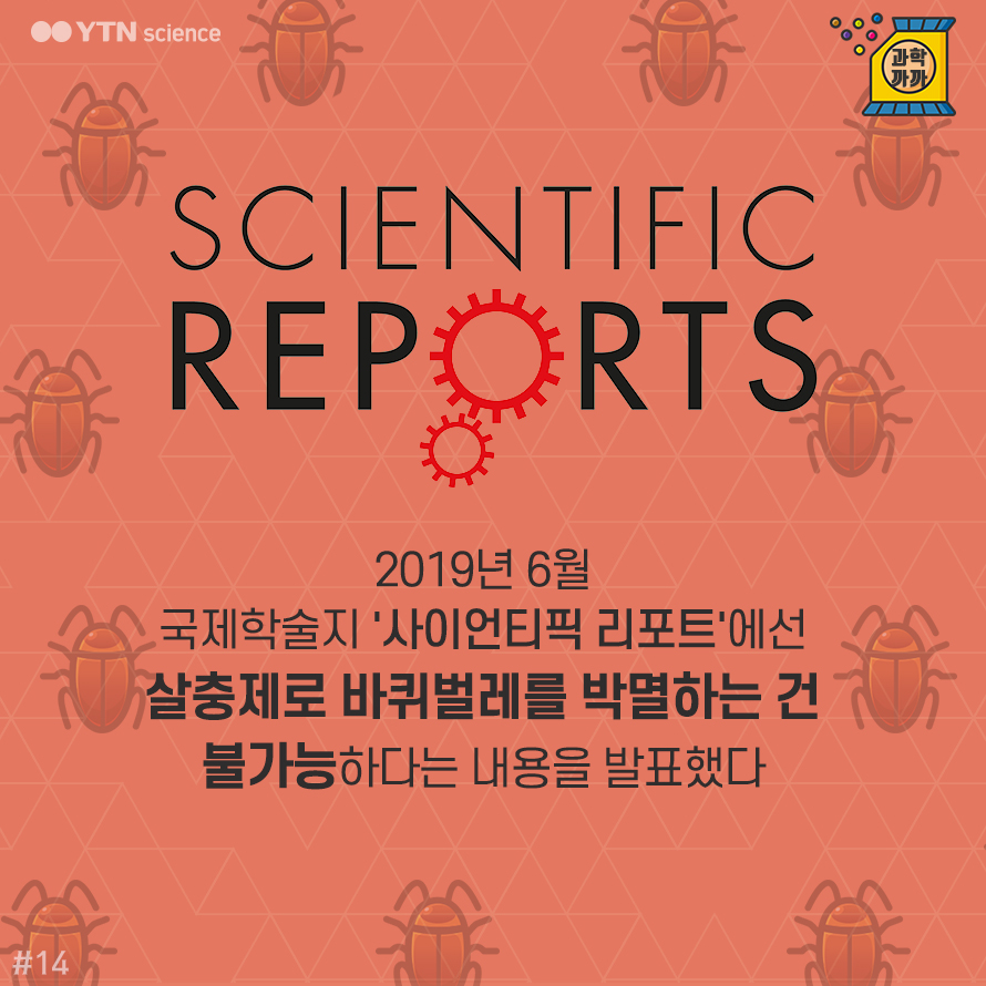 살충제 이긴 바퀴벌레! 이제는 퇴치 불가능