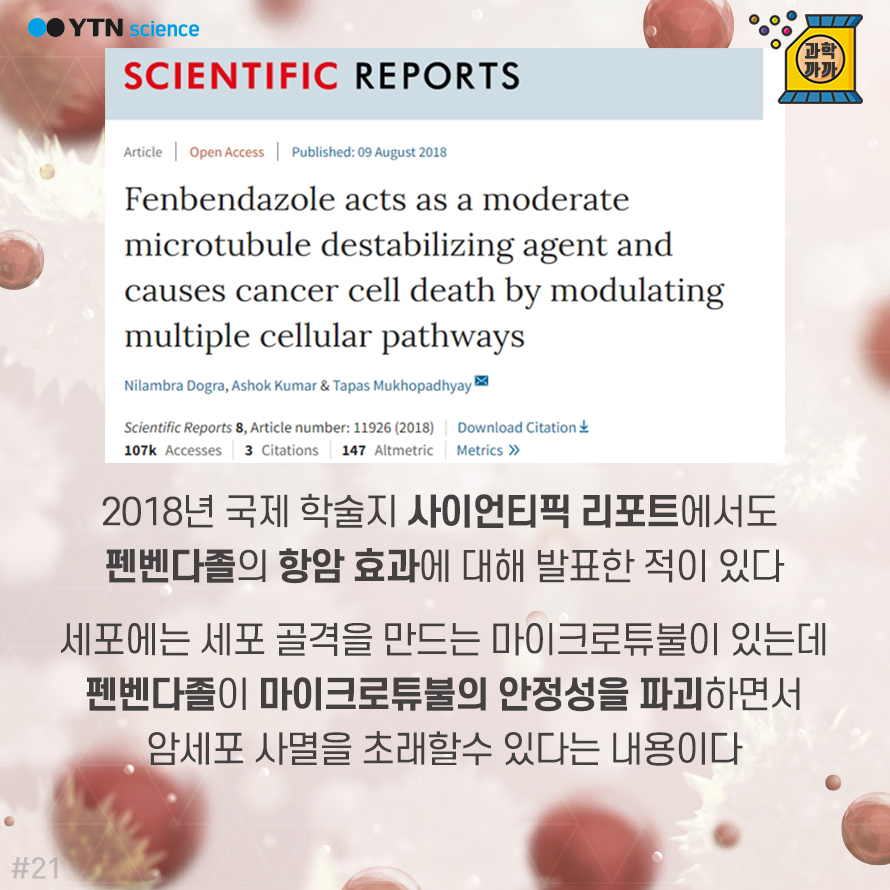 강아지 구충제가 인간의 암을 치료했다?