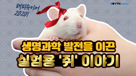 생명과학 발전을 이끈 실험용 '쥐' 이야기