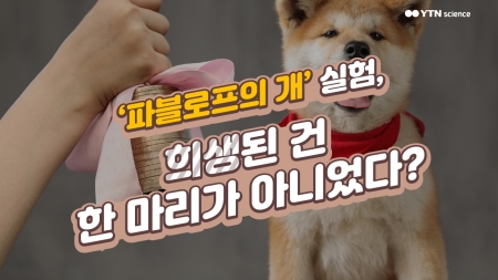 '파블로프의 개' 실험, 희생된 건 한 마리가 아니었다?
