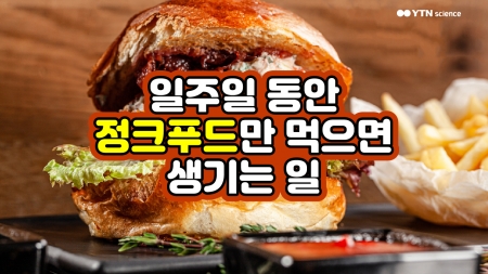 일주일 동안 정크푸드만 먹으면 생기는 일