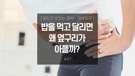 밥을 먹고 달리면 왜 옆구리가 아플까?