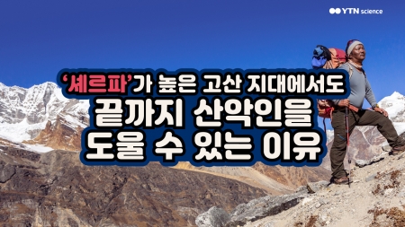 '셰르파'가 높은 고산 지대에서도 끝까지 산악인을 도울 수 있는 이유