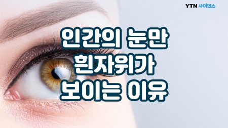 인간의 눈만 흰자위가 보이는 이유