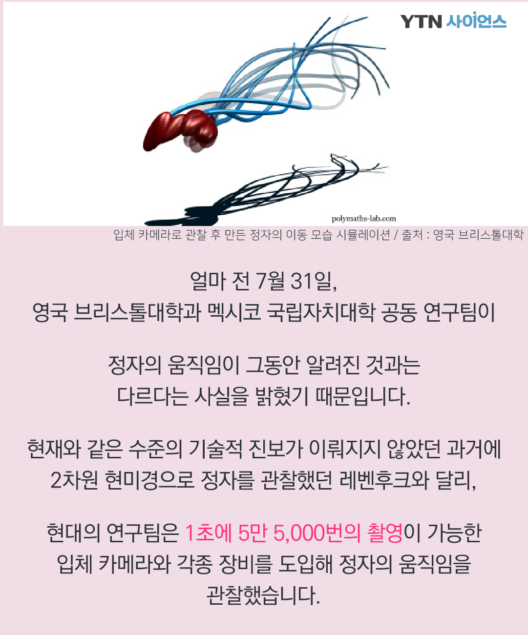 우리는 정자의 움직임을 잘못 알고 있었다?