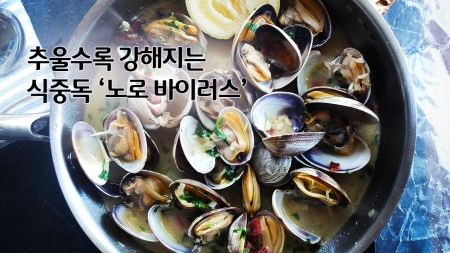추울수록 강해지는 식중독 '노로 바이러스'