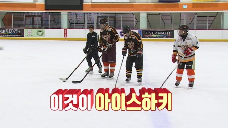 컬링과 아이스하키