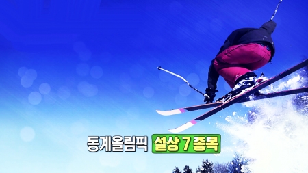 설상 종목, 스키