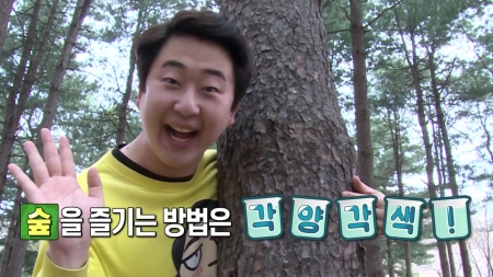 산림복합문화