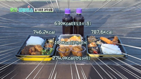 슬기로운 과학 생활