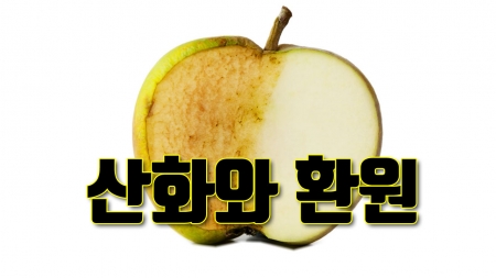 단짝 화학 반응